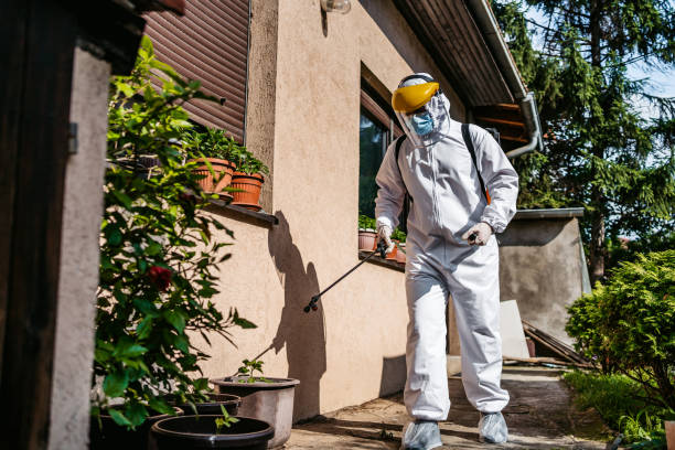 Best Wildlife Control Services  in Sa De Oro Mount Helix, CA