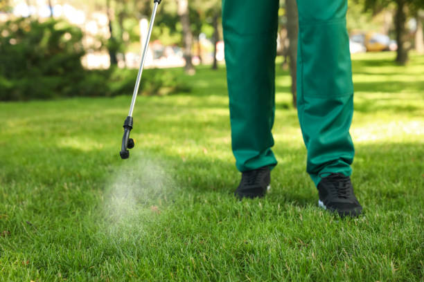 Professional Pest Control in Casa De Oro Mount Helix, CA