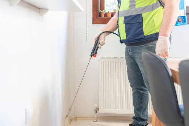 Best Exterminator Services  in Sa De Oro Mount Helix, CA